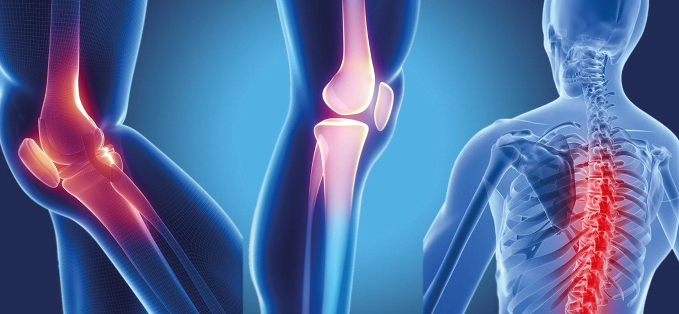 About Orthopedics and Traumatology
